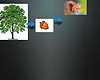 Dq8tudbyebc
